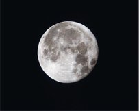 Overige muurstickers