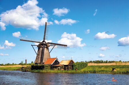 Molen in Kinderdijk tuinposter