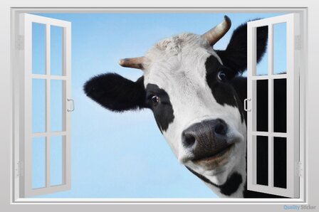 Open raam koe kijkt door raam
