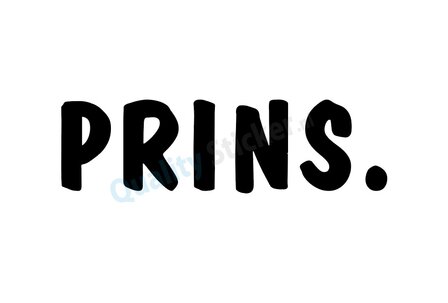 PRINS. strijkapplicatie