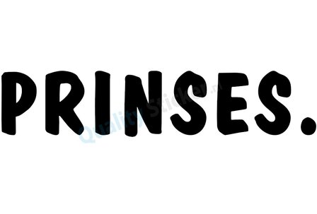 PRINSES. strijkapplicatie