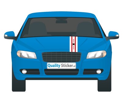 Drentse vlag striping sticker