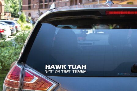 Hawk Tuah spit on that thang sticker