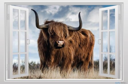 Open raam Schotse hooglander