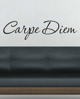 Carpe Diem. Muursticker / Interieursticker