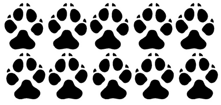 Set van 10 hondenpootjes stickers. 5 links, 5 rechts.