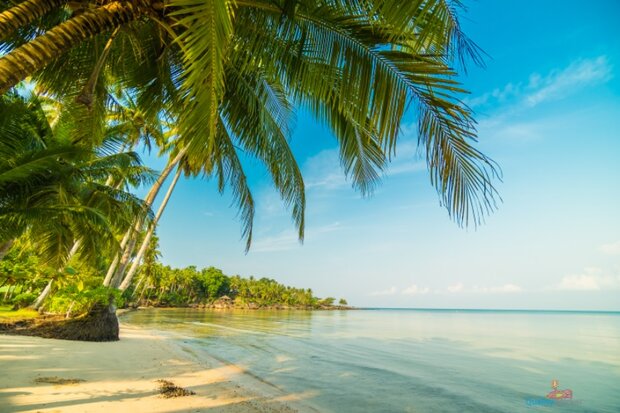 Tropisch strand en zee tuinposter