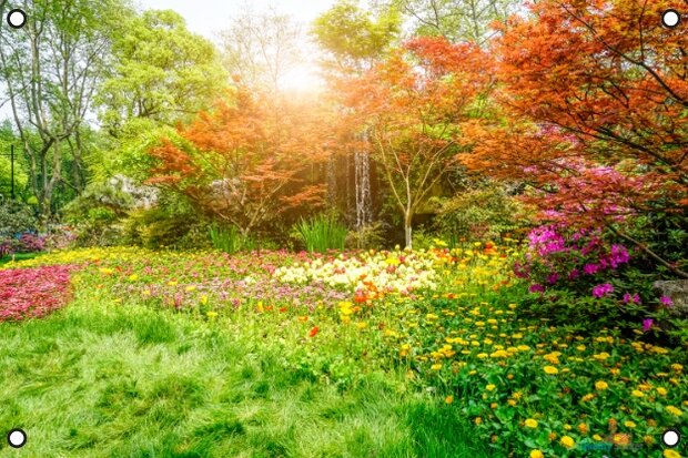 Kleurrijk bos tuinposter met ringen