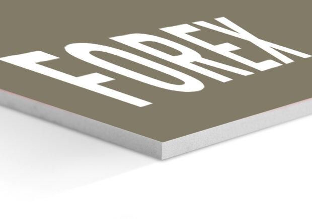 Forex plaat