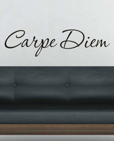 Carpe Diem. Muursticker / Interieursticker