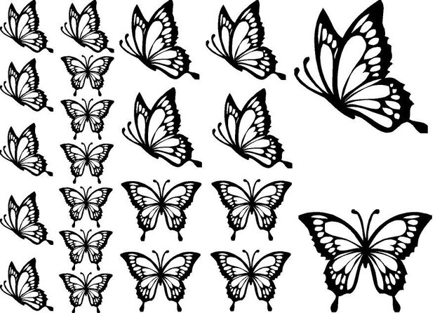 Set vlinder