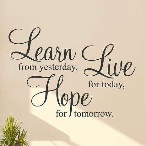Learn from yesterday, Live for today, Hope for tomorrow. (2)