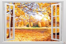 Open raam met herfst uitzicht. Full color muursticker