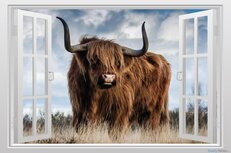 Open raam Schotse hooglander muursticker full color
